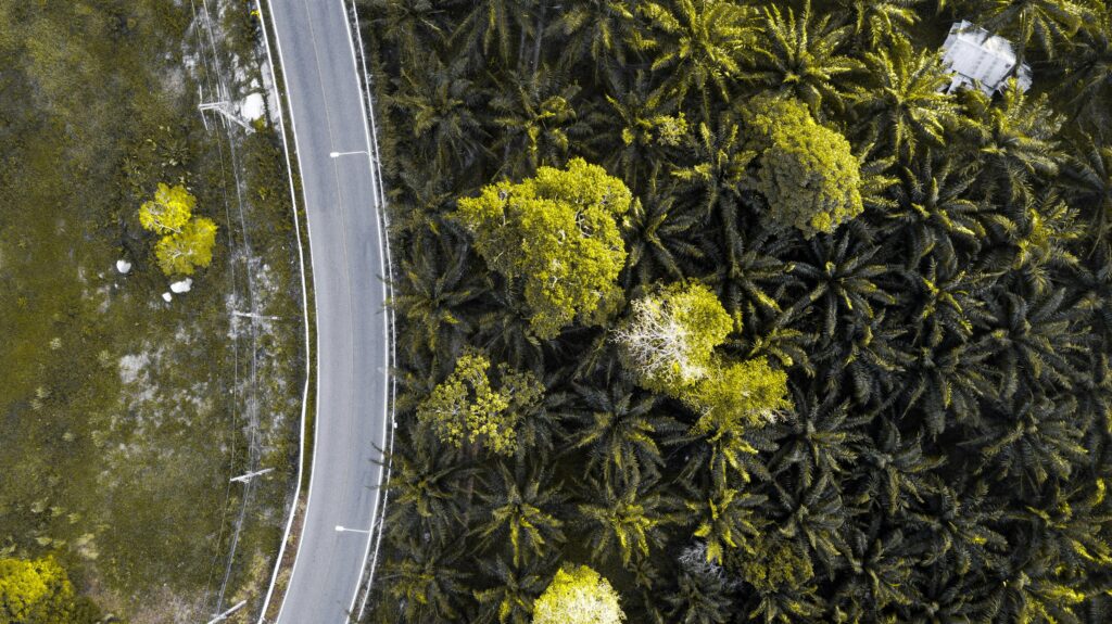 Discovering Phuket: The Ultimate Road Trip Adventure
