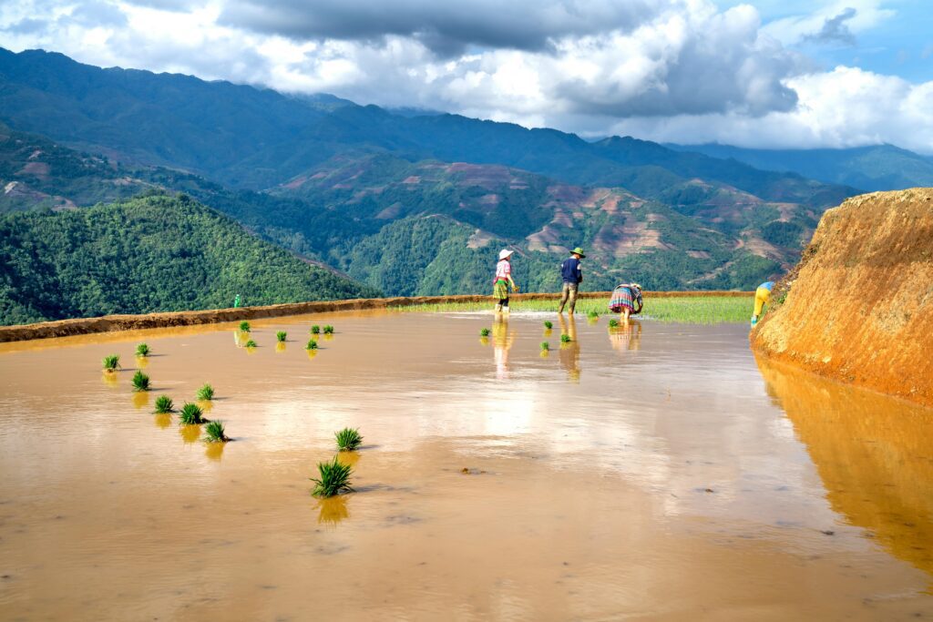 The Golden Triangle Motorcycle Adventure: Riding Through Thailand’s Historic Borderlands