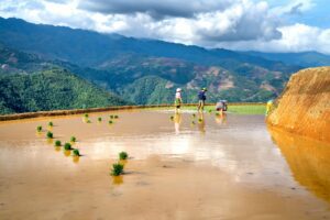 The Golden Triangle Motorcycle Adventure: Riding Through Thailand’s Historic Borderlands