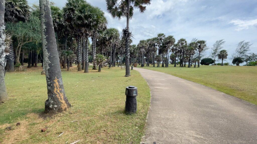 palm trees and road linger through koh lanta national park