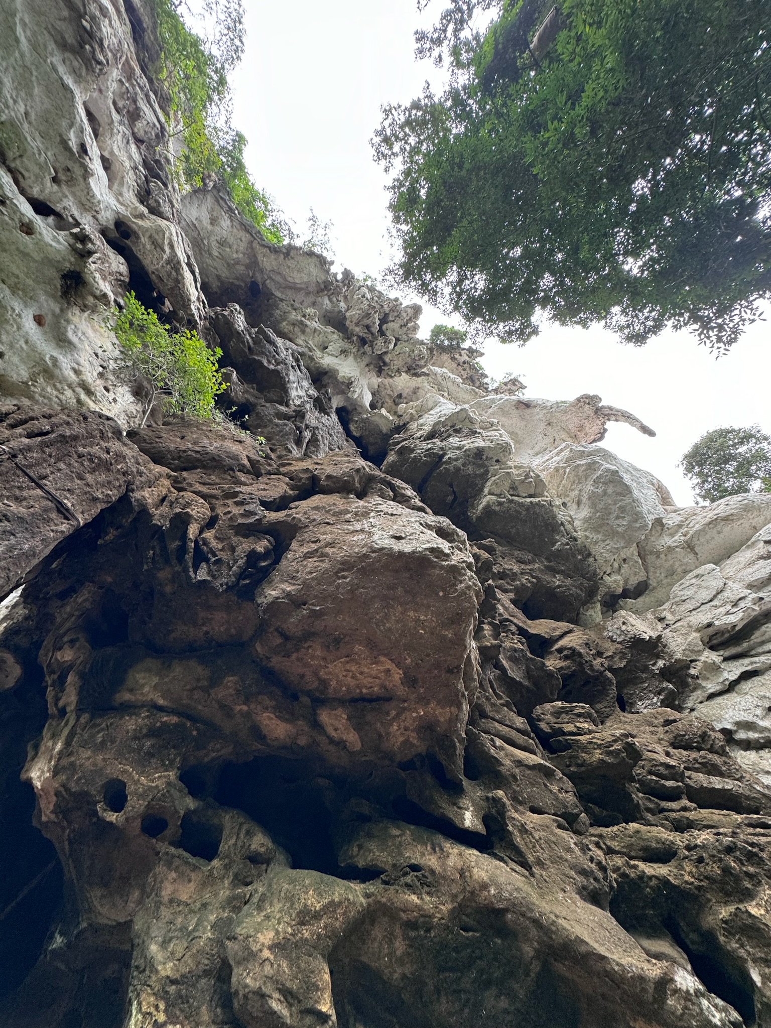 Cave wall in Krabi, Thailand